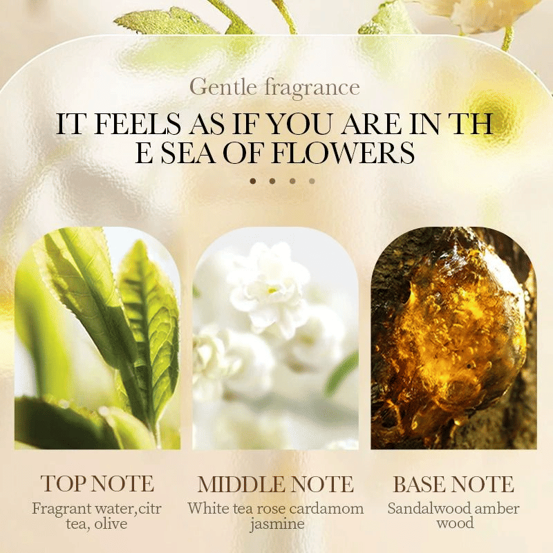 https://img.kilimall.com/c/obs/seller/9499/goods_image/251118065439_ebbd9f8ba6b24e8b6cc6fef9261f70e8.jpg