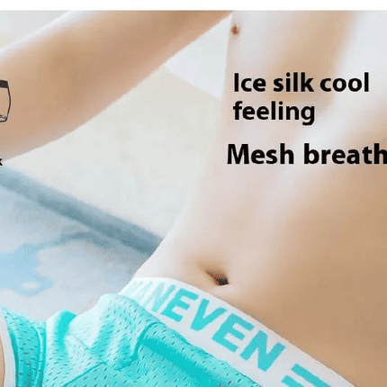 3-Pack Men's Mesh Breathable Boxer Briefs - Soft, Quick-Dry, Comfortable Polyester Fabric