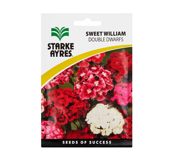 Starke Ayres Sweet William Double Dwarf Flower Seeds