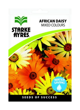 Starke Ayres African Daisy Seeds Mixed Colors Flowers Cape Marigold Non-GMO Annual