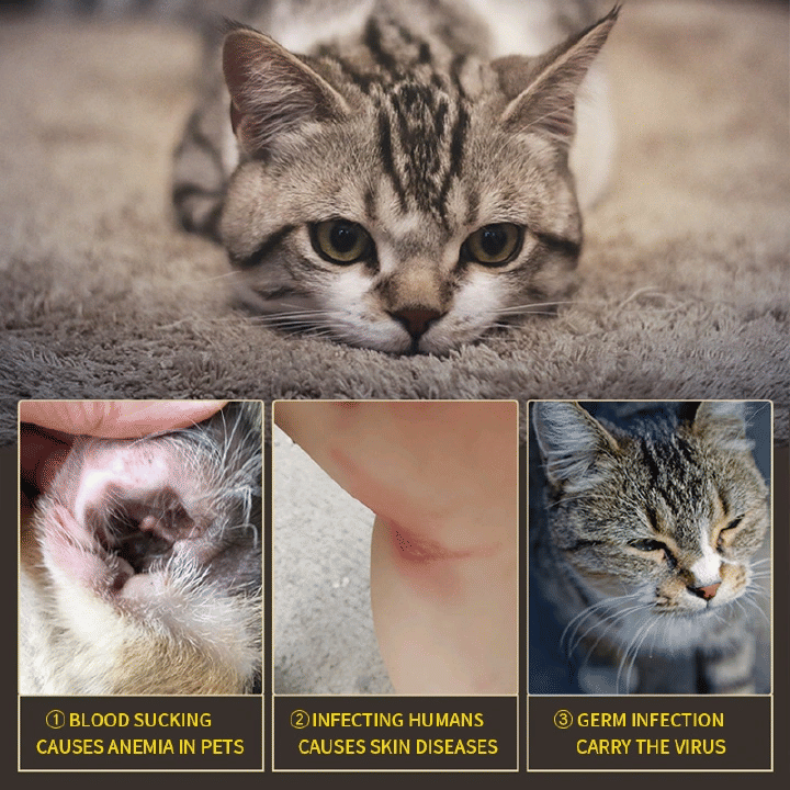 Cat Flea Collar Easy Repels Fleas Ticks Safe Effective Dog Cat Collars