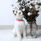 Cat Flea Collar Easy Repels Fleas Ticks Safe Effective Dog Cat Collars