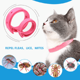 Flea And Tick Collar For Cat Natural Plant Essential Oil Safe Effective Repels Fleas Ticks Waterproof Pink