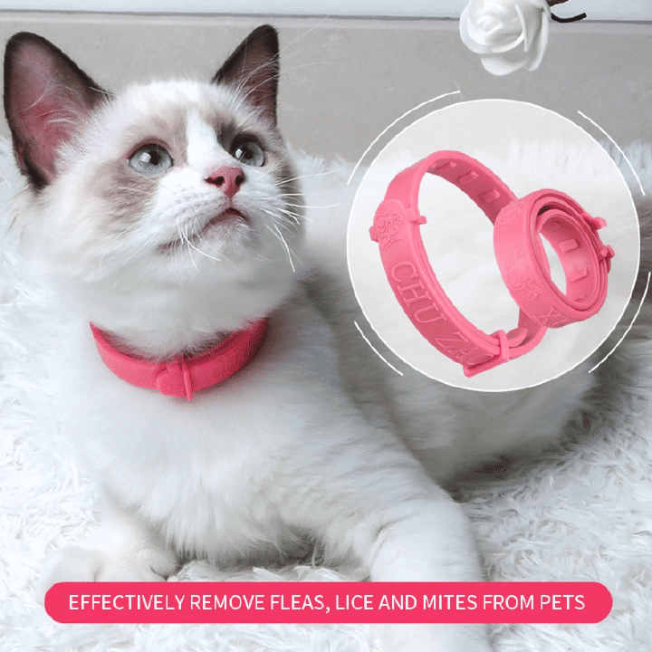 Flea And Tick Collar For Cat Natural Plant Essential Oil Safe Effective Repels Fleas Ticks Waterproof Pink