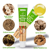 KanyeHB Nail Fungus Treatment Cream Onychomycosis Paronychia Removal Anti Infection Toe Foot Care Ointment 20g