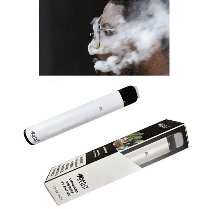 Disposable E-Cigarette Iced Blueberry 300+ Puffs Nicotine Vape Pen