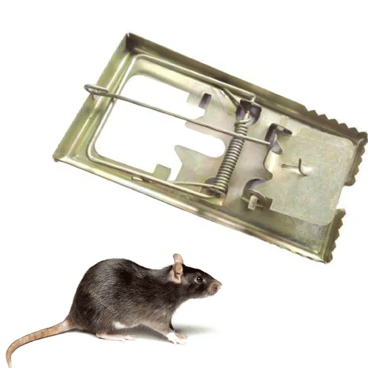 Super Rat Rodent Mouse Trap Catcher Iron Medium Size Ultimate Solution