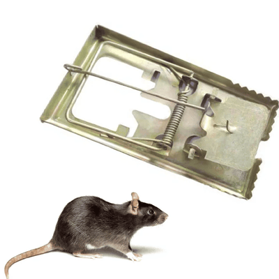 Super Rat Rodent Mouse Trap Catcher Iron Medium Size Ultimate Solution